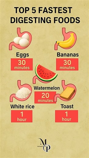 Top 5 fastest digesting foods! #healthyeating #digestivehealth | Senior Secrets