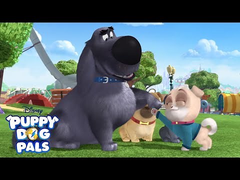 Making Friends! 🐶 | Puppy Playcare | Puppy Dog Pals | Disney Junior