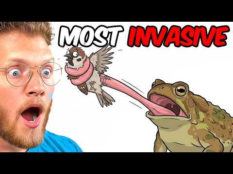 Reacting to Invasive Animals Destroying Our Planet!