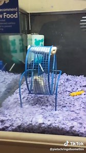 35K views · 388 reactions | Please stop hitting on my mom in front of me on Reels | Facebook