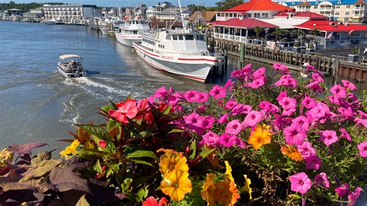 Explore Lewes, Delaware, for its history, charm and beaches