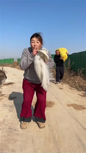 azaya official (@azaya.official)’s videos with original sound - azaya official