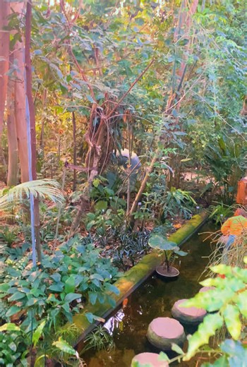 #namtiktoker🇳🇦 #germany🇩🇪_tik_tok #viral #fypage