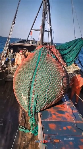 94K views · 1K reactions | Why do ships carry tons of salt? 蓼 #science #sciencefacts #astronomy #space #facts #fypシ゚ #foryouシ #foryoupageシ #reelsfb #trandingreels #instagramreels | Data Z | Facebook