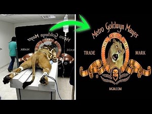 5 True stories behind Hollywood studio logos🤔unbelievable facts behind Hollywood famous logos😮