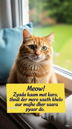 billi #cat #status #cartoon # viral video #emojicat