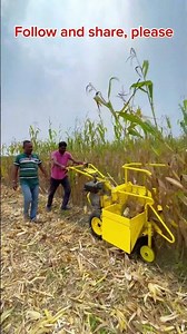 Mini Maize Cutter Machine | Compact & Powerful Crop Harvester #farmequipment #farming #farmingmachin