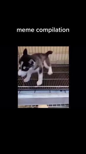 #meme #memecompilation