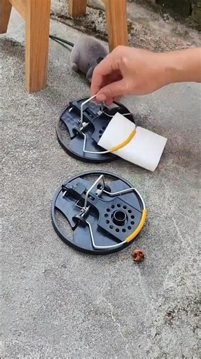 Smart Mouse Trap That Actually Works! 🐭🔥 #shorts