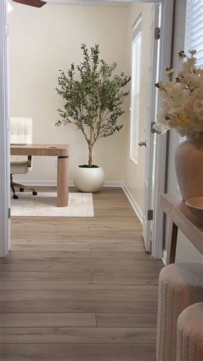 Gorgeous olive tree must-have decor