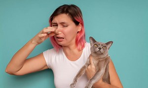 These Animals Let Out the Most Farts in the World