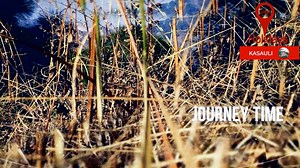 49K views · 249 reactions | Explore #KASAULI with ClearHolidays -...