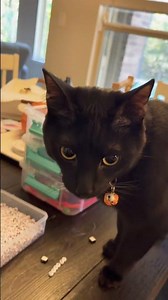 Craft day with hocus pocus, essential oils and brackets! Plus a #blackcat #hocuspocus #craft