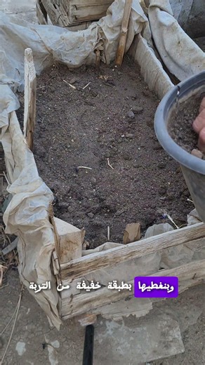 زراعة الملوخية ب التفصيل في ثواني 🌿 #زراعة_منزلية #plants