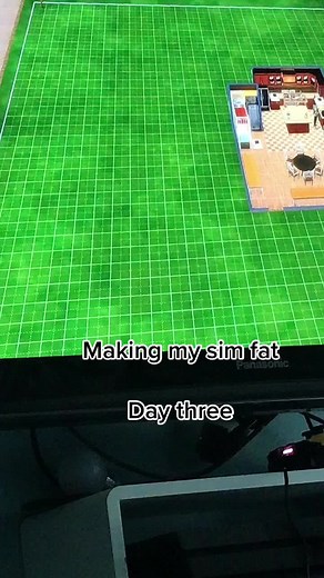 Making My Sim Fat: Day Three Gameplay Experience