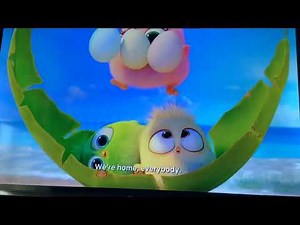 Angry Birds 2 Swearing clip