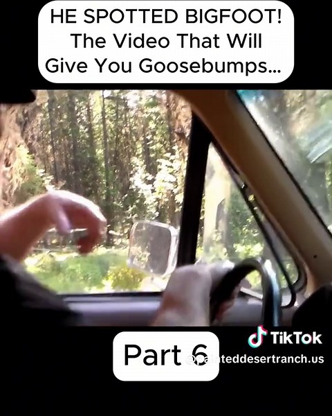 Bigfoot Sighting Revealed: Watch This Spine-Chilling Video