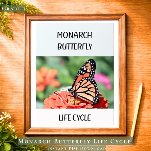 Monarch Butterfly Life Cycle Worksheet PDF | 13 Insect Life Cycle Science Activities | Butterfly Activity | Elementary Science Worksheet - Etsy