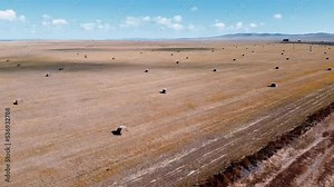 Drone footage of hay bales scattered in the field in Inner Mongolia, China
