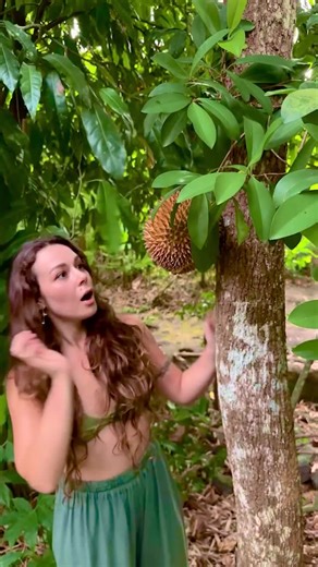 5-Minute Crafts on Instagram: "Spiky fruits don't stand a chance against this safe method 😲 #gardeninghacks #fruitpicking #clevertricks"