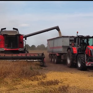 Two massey ferguson working together ❤️ | Big Machines