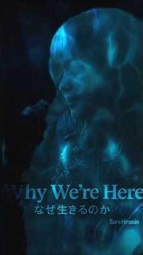 Why we are here | Sora Hiromin [Official MV]