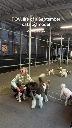 Behind the scenes of our September Catalog🐶. Link in bio to shop the look. #freepeople #catalog #fall #dogs #outfitinspo