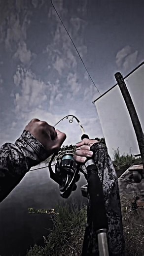 Câu Cá Cùng Nhựt Thái: Khám Phá Biển Cùng Idol