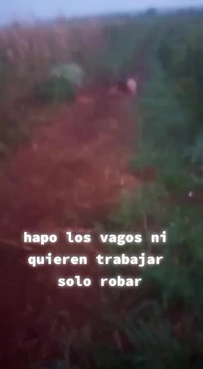 miguel cano (@miguelcano75)’s videos with sonido original - miguel cano