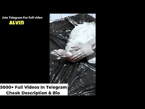 Cow Butchering Full Guide by Expert Woman