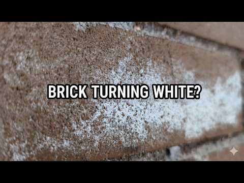 How to SAFELY Remove Efflorescence from Brick (Pro Method)
