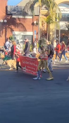 BIONIC | Durable dog toys. (@bionicdogtoys)’s videos with original sound - BIONIC | Durable dog toys.