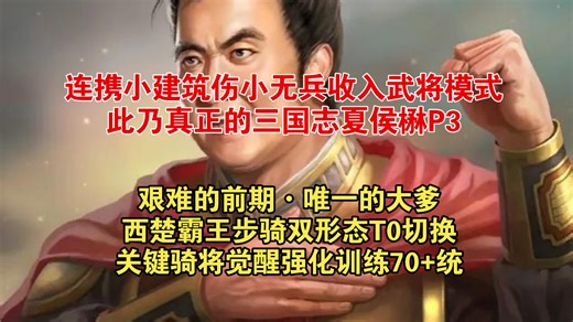 双小无兵收禁金兰挖人武将模式真三夏侯楙P3