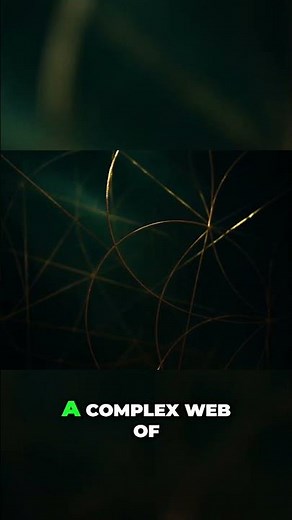 Flower of Life: Unlocking the Sacred Blueprint of Reality!