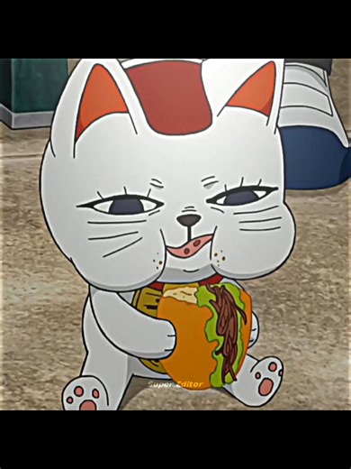 TikTok · Super Editor