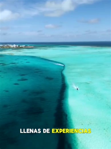 Sabor Colombiano Salida⛰️🌳☕🌐Salida Grupal ✨🗺️ ✨¿Listo para vivir la esencia de Colombia en un solo viaje? Descubre un país de contrastes inolvidables: despierta entre cafetales en el Eje Cafetero, siente la energía innovadora de Medellín y relájate con la magia histórica del Caribe en Cartagena. Este paquete exclusivo te lleva del verde andino al azul turquesa del mar, garantizando una aventura completa y sin complicaciones. SALIDA GRUPAL 📅 19 de Octubre 2026 📍RESERVA TU LUGAR SERVICIOS INC