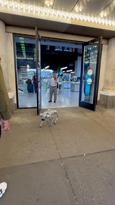 11K views · 79 reactions | When unfortunately walk time I saw sidewalk Robot 烙 Dog  midtown Manhattan New York City than I got surprised  #robotdog #surprise #MidtownManhattan #timessquare #newyorkcity | New York Beauty | Facebook