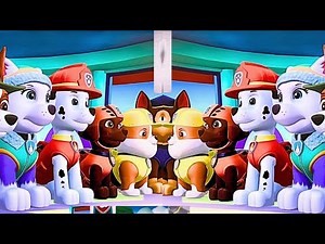Paw Patrol Power Up | Mighty Pups in Action GAMEPLAY FOR KIDS & Family