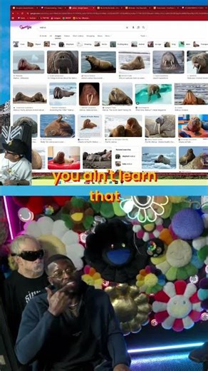 Chubby Girl Nicknames: Walruses & Tortas Revealed! #shorts