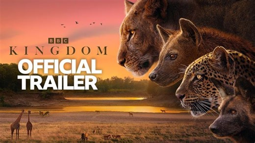 Kingdom | Trailer – BBC | Michael-John Abendanon