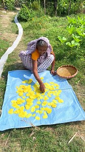 Homemade Potato Papad | Easy Traditional Snack #reels #cooking #villagefood #recipe | Old Cooking