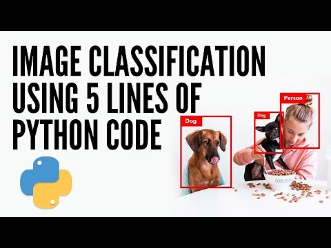 Vision Transformer (ViT) - Using Transformers for Image Classification | HuggingFace