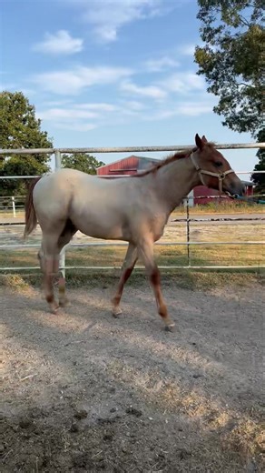 35K views · 1.3K reactions | ❇️ 헟헢헧 ퟭퟬퟳ ❇️ Brought to you by Killian...