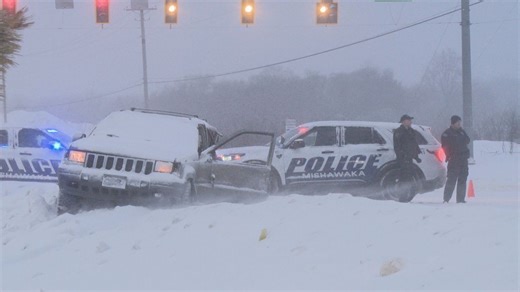 Suspect in St. Joseph County Police pursuit allegedly assaults officers, police dog