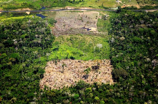 Stopping deforestation and illegal logging