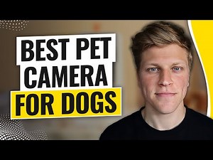 Best Pet Camera for Dogs (2026)
