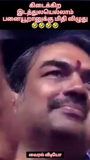 The palm tree is trampled wherever it can be found🤣🤣🤣🤣 Viral video #freedom2k