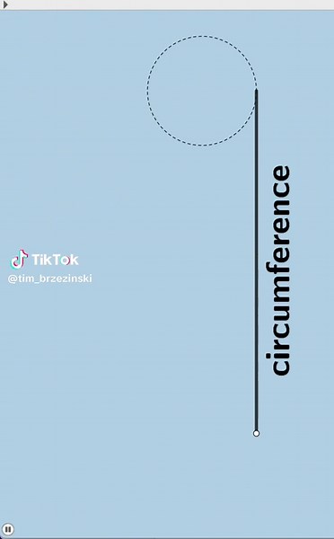 Understanding Circumference and Diameter of Circles
