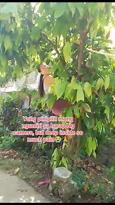 Keep me strong Lord 🙏❤️ #FBFRIENDS #fbreelsfypシ゚ | Kapubre Vlog