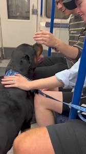 Everyone judges the book by it's cover until the read em!!!1 | Animal Tales